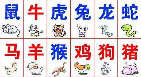 今期六字出玄机打一个生肖缠大猪:今期六字出玄机,特数出此不为奇是什么生肖