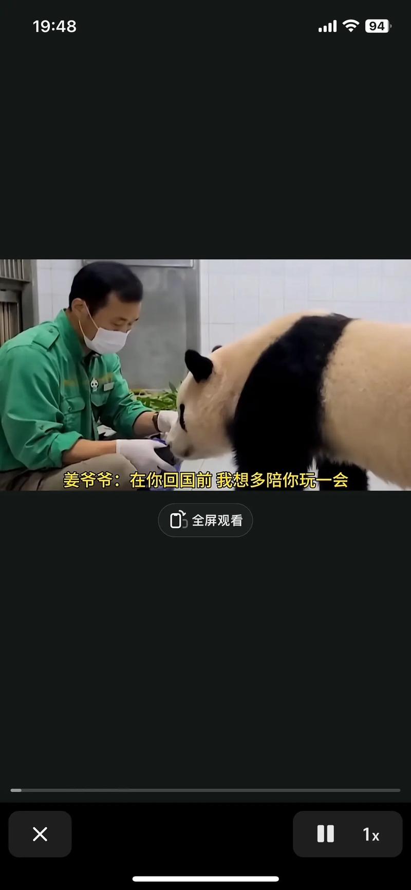 大熊猫福宝进行脱敏训练:大熊猫福宝进行脱敏训练的原因