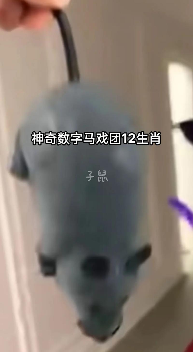 神奇打一正确生肖:神奇指的是什么意思