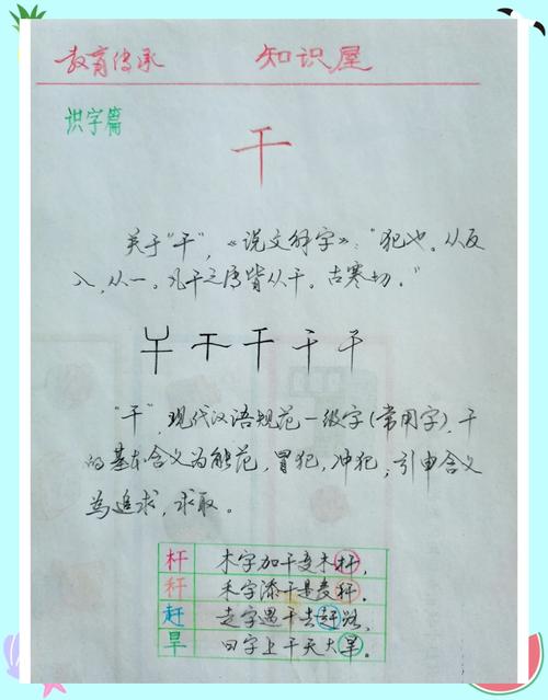 干字指什么生肖:干字的干什么意思