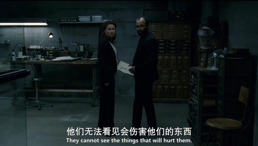 西部世界梯子怎么了:西部世界westworld官网