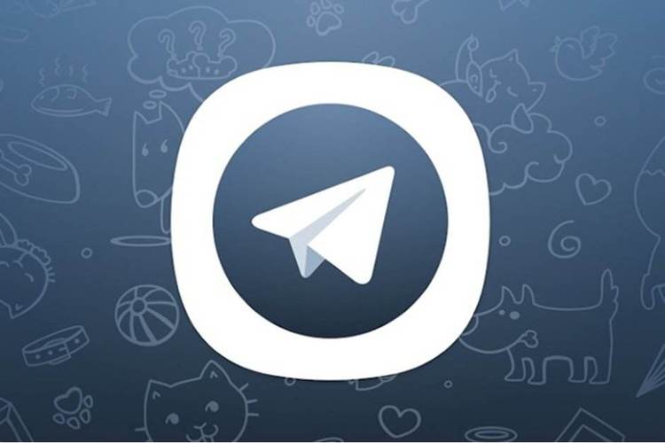 telegeram最新版下载:telegraph官网入口下载