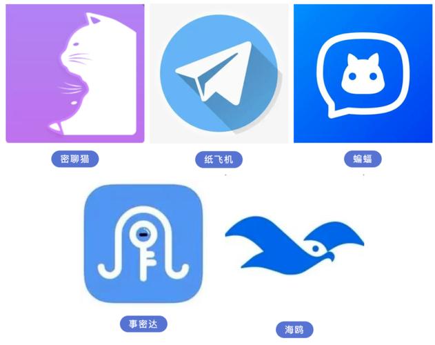 纸飞机下载内容在哪:纸飞机下载内容在哪个文件夹