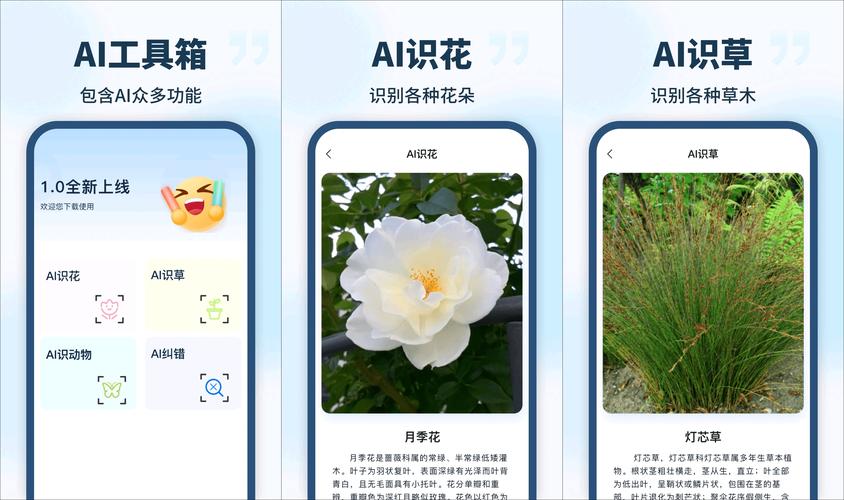 识别植物扫一扫:识别植物扫一扫网页版