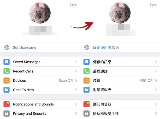 telegtam下载的文件:telegraph下载文件位置
