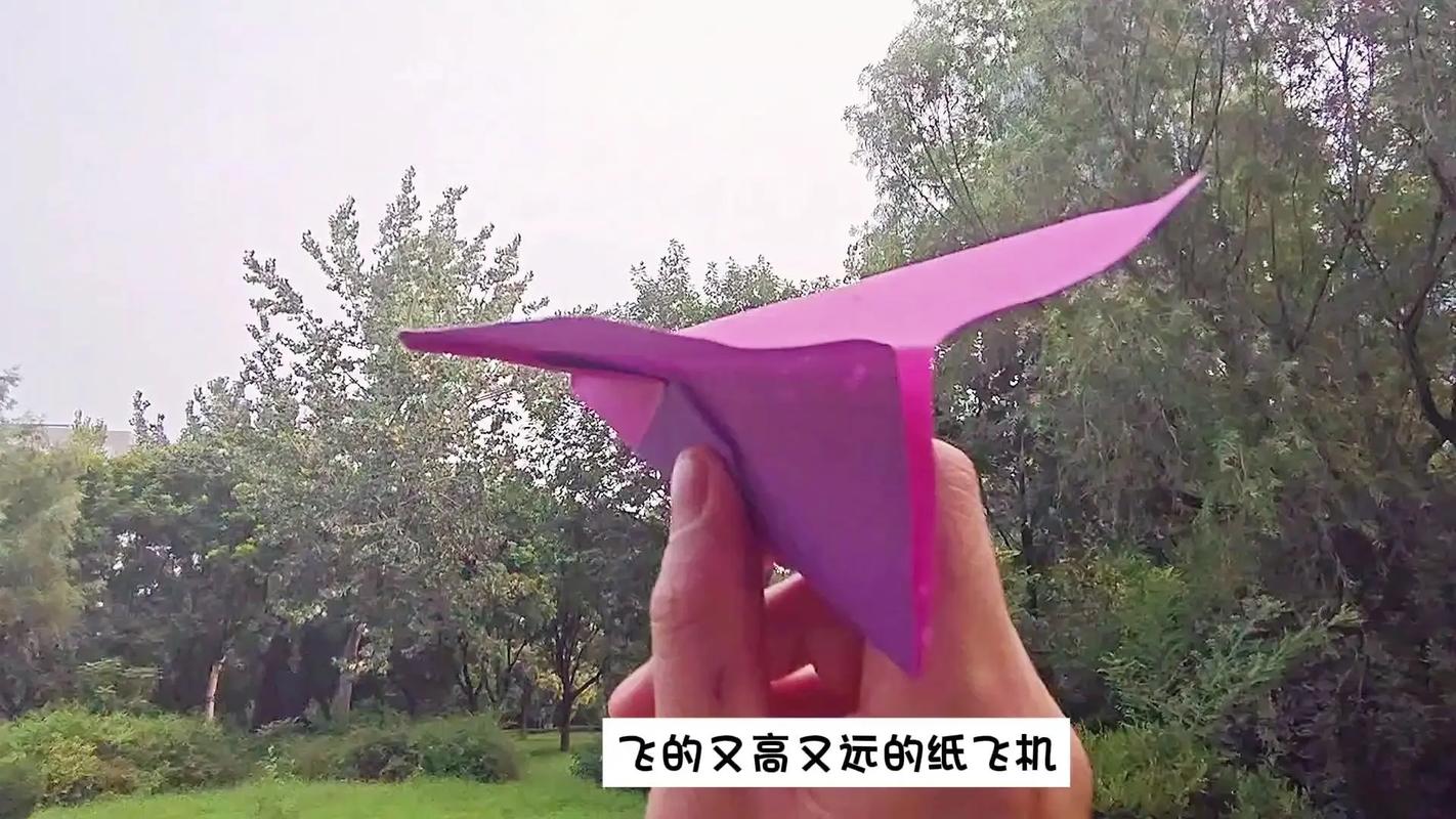 纸飞机查个人信息网站:纸飞机怎么看自己的id