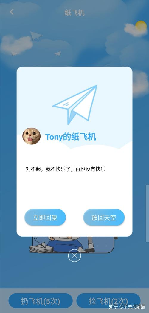 纸飞机软件设置中文:纸飞机软件设置中文翻译是什么
