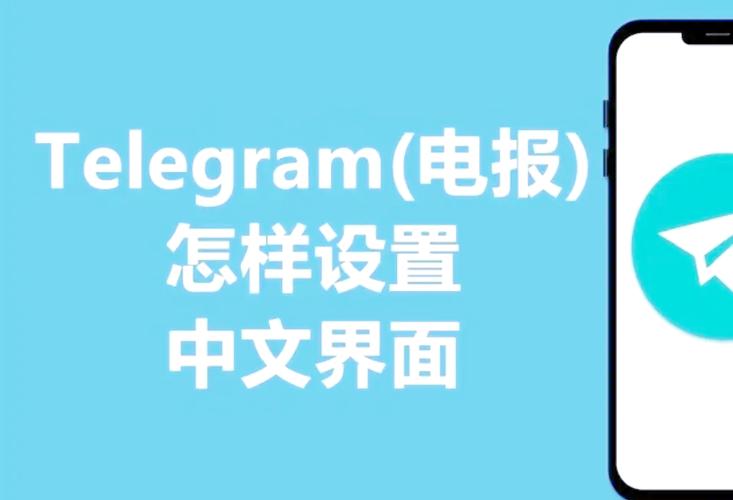 纸飞机下载的视频如何删除:纸飞机下载的视频如何删除掉