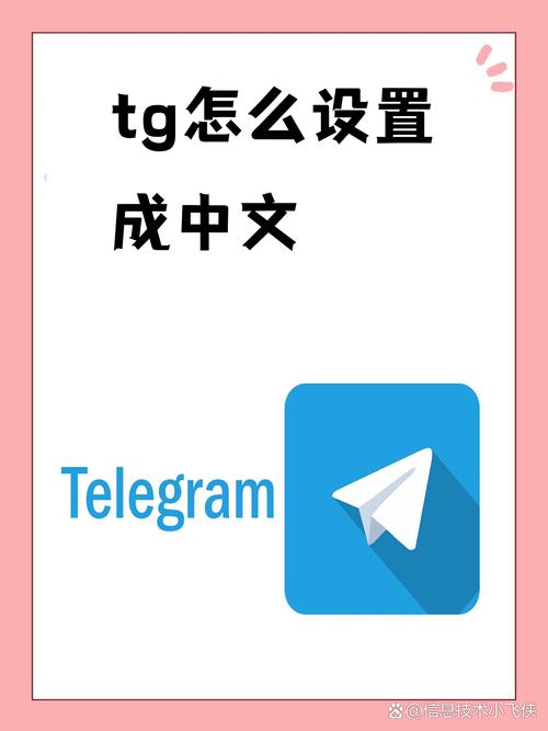 关于TG网页版入口的信息