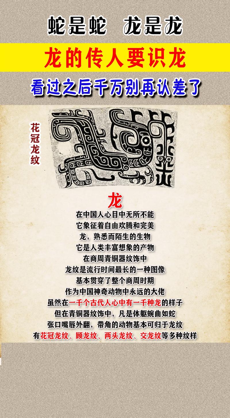 什么生肖克龙又克蛇:什么生肖克龙又克蛇呢