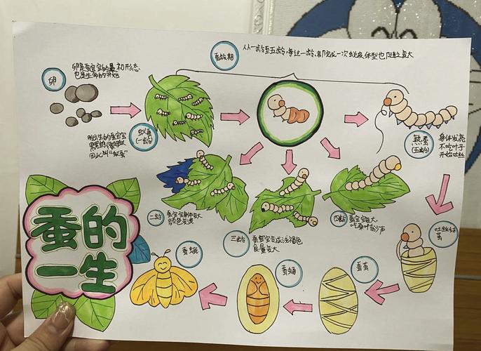 “老蚕作茧”是什么生肖:老蚕作茧何时脱?梦想至人空激烈