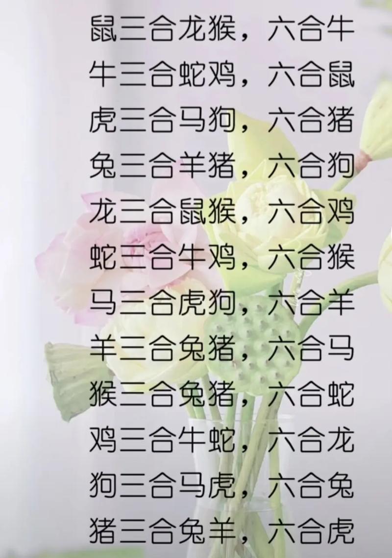 今期猴狗有玄机正确答案:兔猴呼猪随上天羊丑今期有玄机