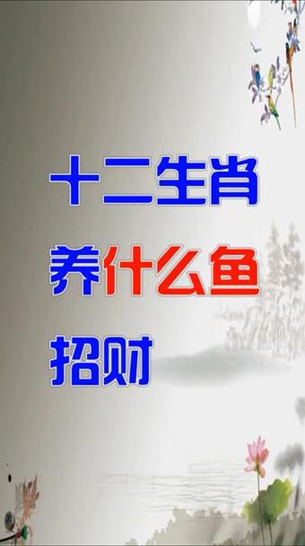水代表着什么生肖:水代表着什么生肖动物