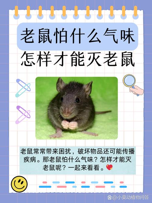 “耗子尾巴”打一个生肖动物:耗子爬竹竿一节一节来打一动物