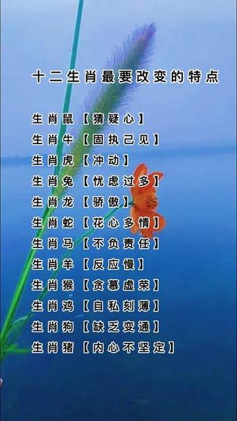 关于打一生肖有哪些动物的信息