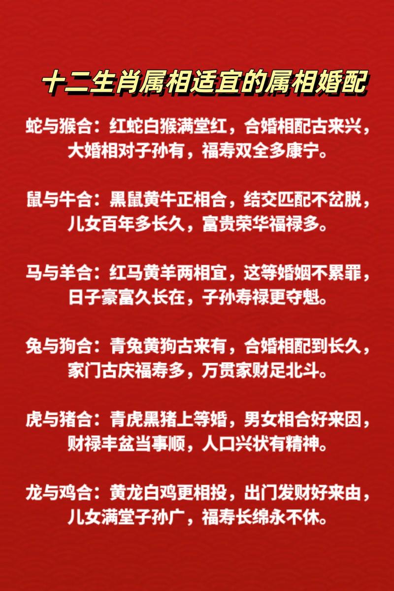 今期生肖猴来开最佳答案:今期猴狗求相会是什么生肖