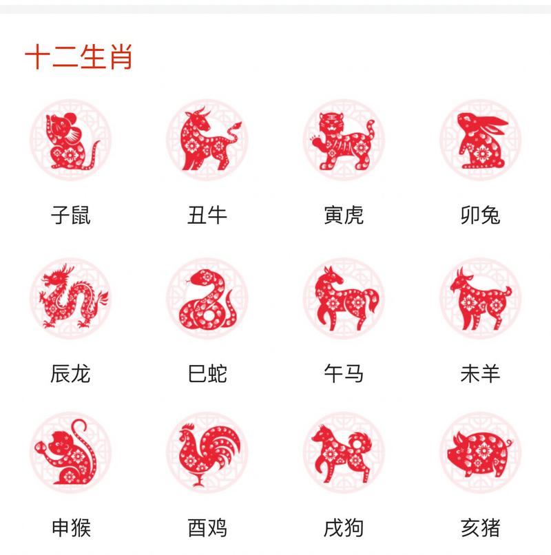 今期生肖狗马鼠是什么生肖:今期生肖狗马鼠是什么生肖?