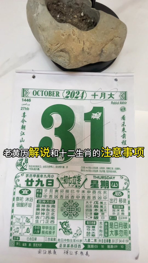治打一生肖最佳答案的简单介绍