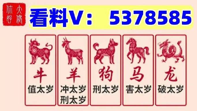 今期特马是什么意思:今期特马开本期是什么意思