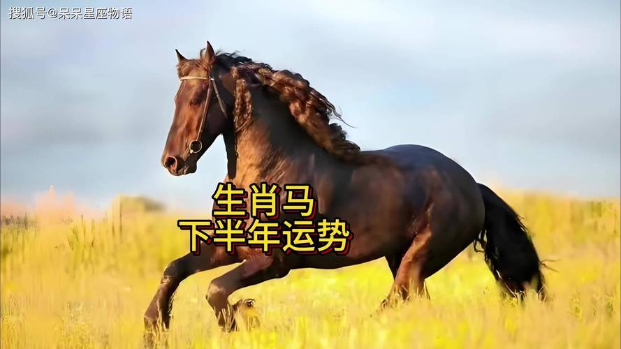 什么生肖旺马的事业:什么生肖旺属马的生肖