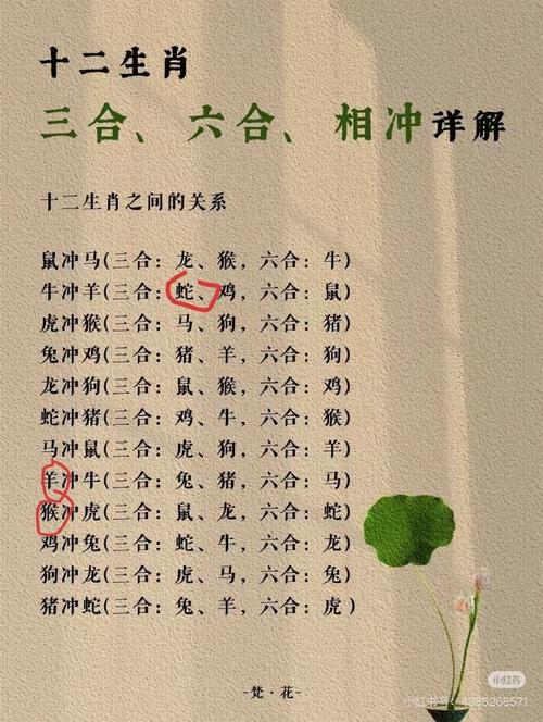 今期生肖无公理是什么意思:今期生肖无狗猴,兔鸡蛇羊中大奖