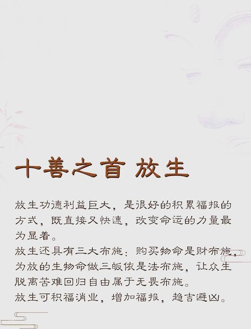 包含“说是放生，实是送死。行善积德宜避忌”指什么生肖的词条