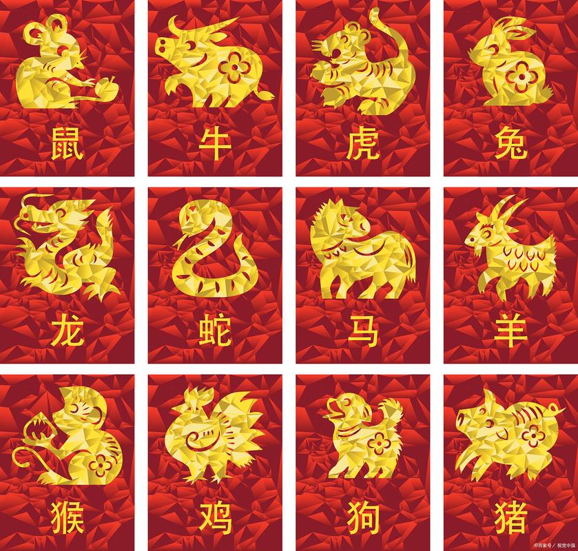好吃什么生肖:好吃的动物指什么生肖