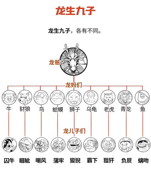 龙配什么生肖最好呢:龙配什么生肖最好呢女