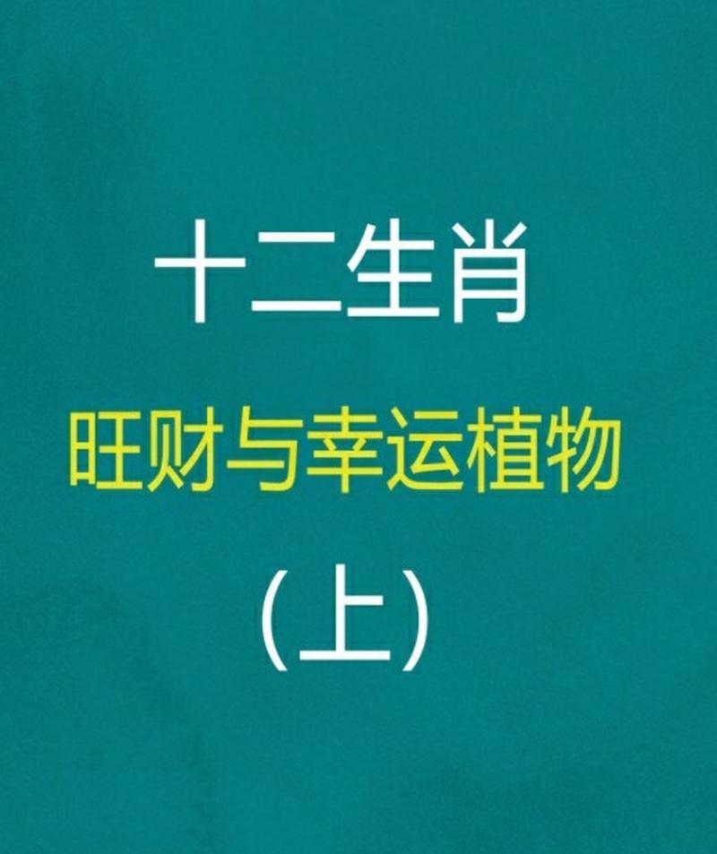 什么生肖种什么树:什么生肖种什么树成语