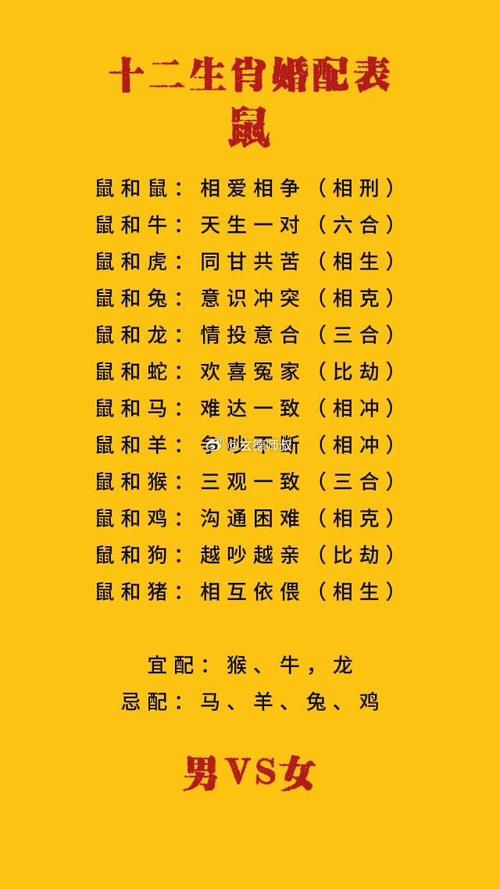 鼠生肖和什么生肖最配最好:生肖鼠和什么生肖最配,不会犯冲