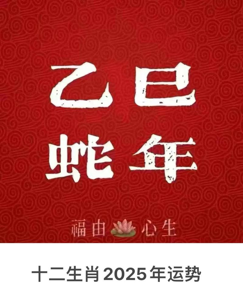 蛇鸡今期无希望是什么生肖:蛇鸡今期无希望是什么生肖动物