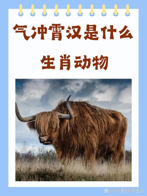 今期生肖大家夸是什么生肖:今期生肖大家夸是什么生肖的动物