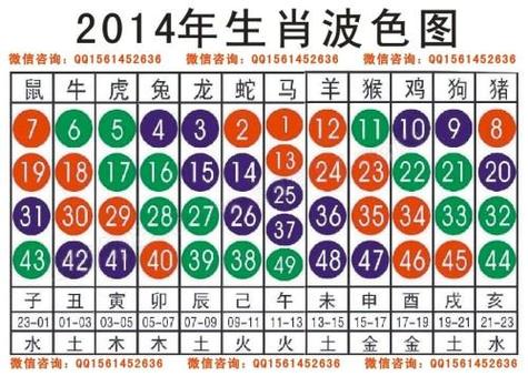 “大王去找美人吗”指什么生肖:大王去找美人码指什么生肖最准确