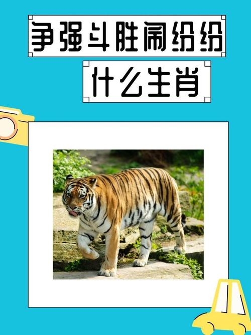 “太监大将有机会，争强斗胜闹纷纷”打一正确的生肖的简单介绍