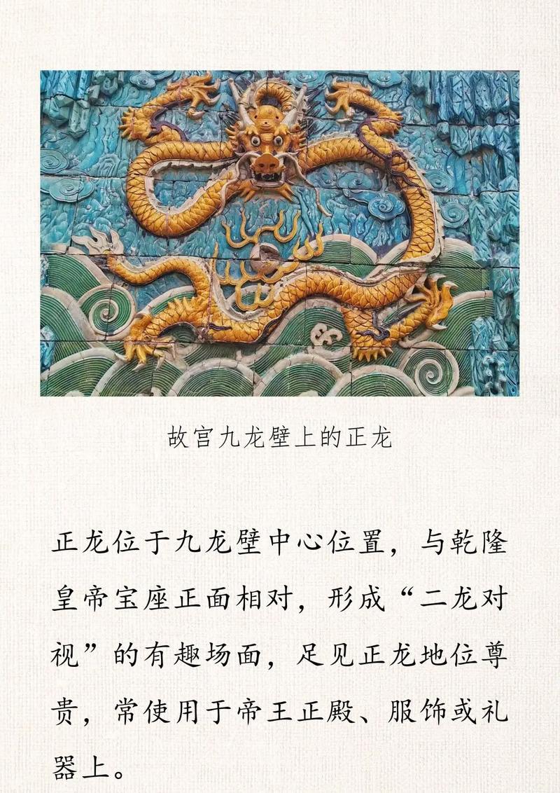 见龙在田徒伤悲打一生肖:见龙在田徒伤悲打一生肖狗