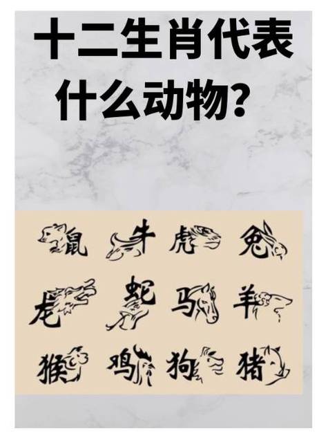 今期生肖有看头正确生肖动物:今期生肖有看头买上买下不是牛是什么生肖