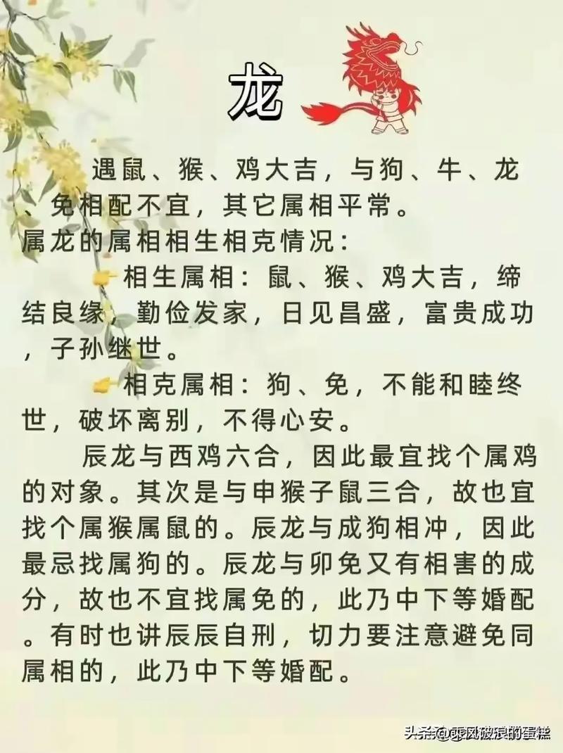 打一生肖指什么动物的简单介绍