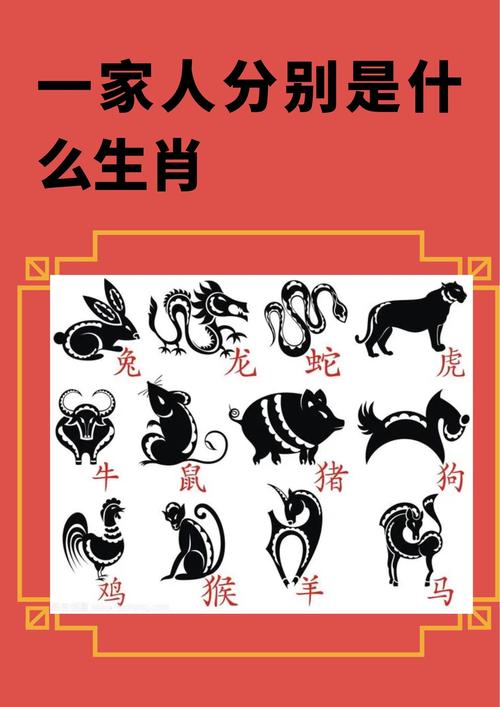 打一生肖最准确的生肖是什么:打一生肖最准确的生肖是什么生肖