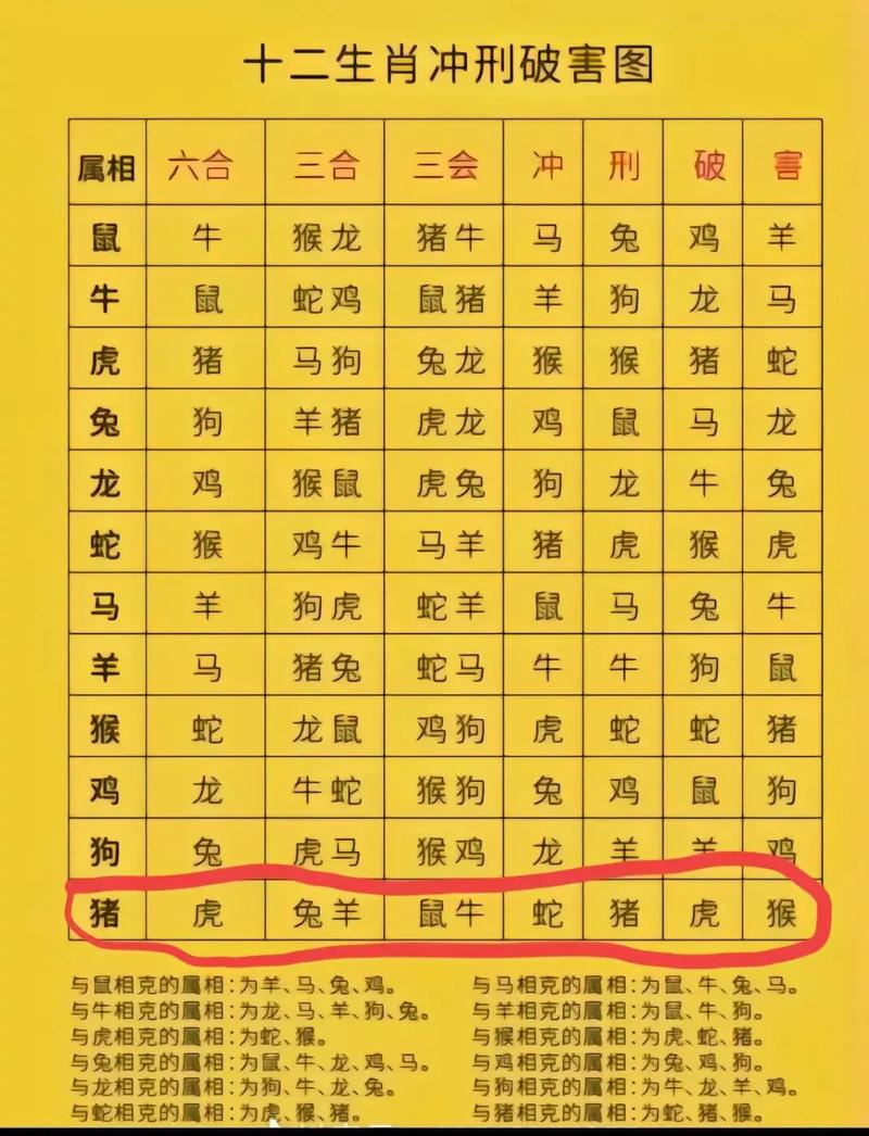 虎相克什么生肖:虎和什么生肖相克相冲
