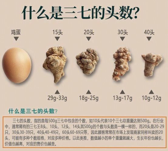 今期缘中三七送:今期缘中三七送打一数字
