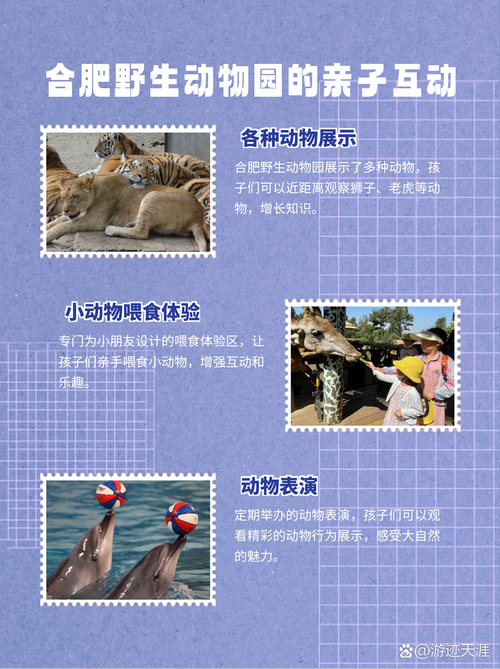双脚立地无止境打一生肖动物的简单介绍
