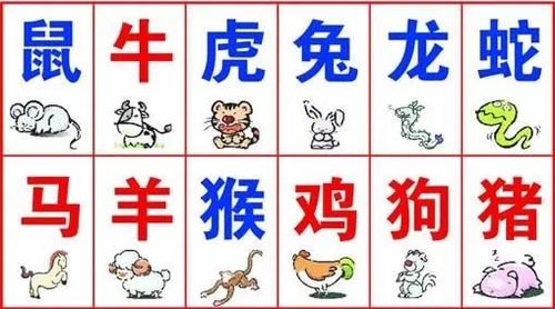 今期生肖数老大的意思:今期生肖找老大是什么动物