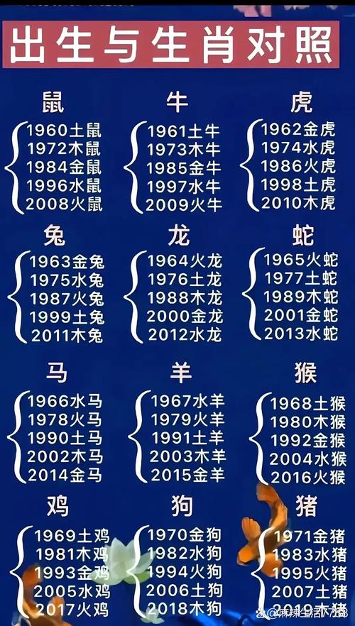 今期生肖是什么的生肖动物图片的简单介绍