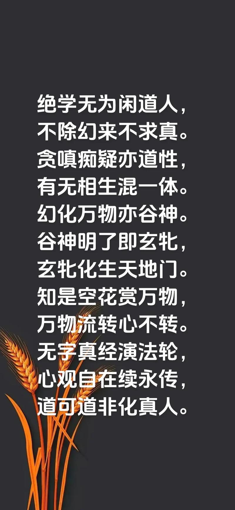 玄机的意思:外观万物知天道,内视自我悟玄机的意思