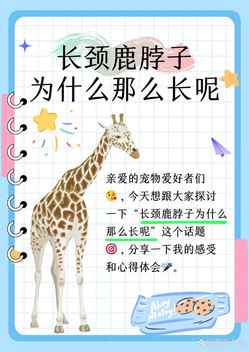 什么生肖脖子长还能跑:还有什么动物的脖子很长