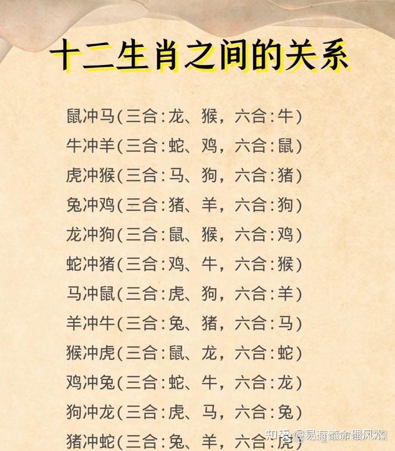 一九相合在今期是什么数:一九相合在今期是什么生肖