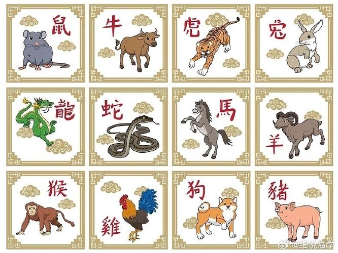今期持码定开单指什么生肖:生肖今期定单蓝打一肖或数字