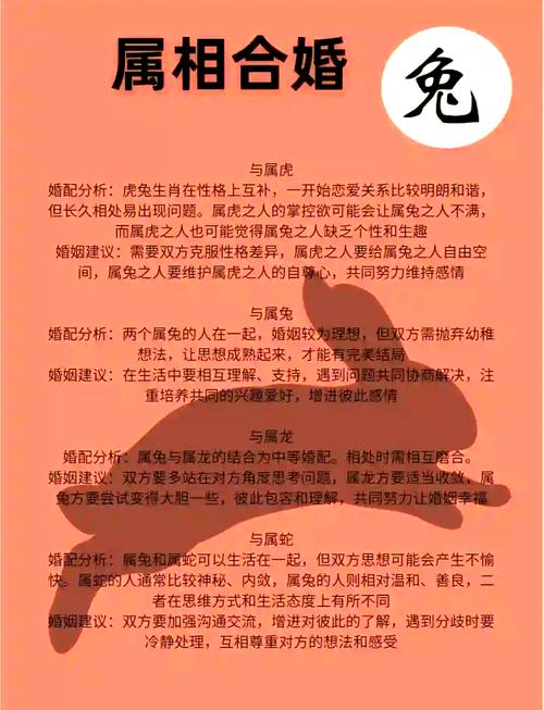 兔配什么生肖最旺:兔配什么属相婚姻好