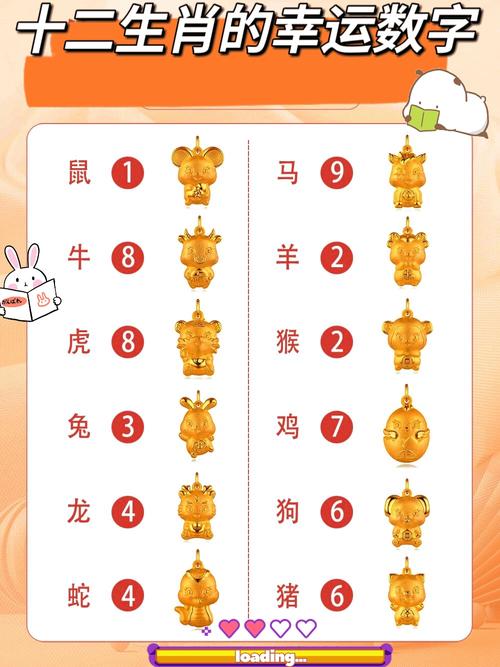 开代表什么生肖或数字的简单介绍