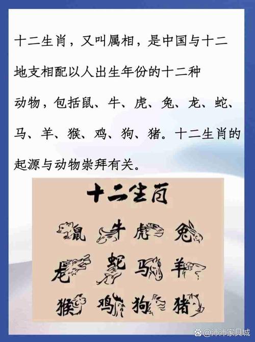 打一生肖八路是什么肖:十二生肖八路是什么动物